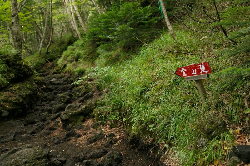 登山道